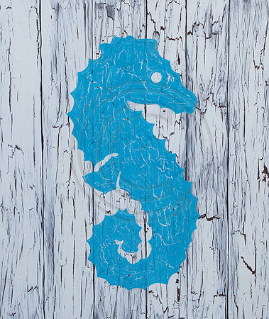 Crackle Seahorse