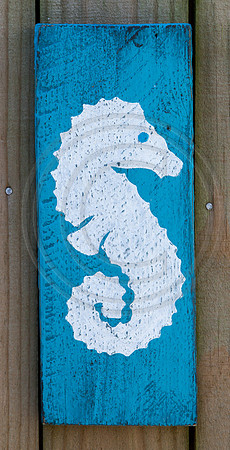 SeahorseSignweb