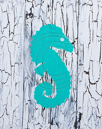 Seahorse Crackle Art