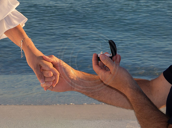 Say Yes on Vacation