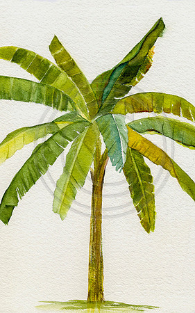 Banana-Tree-Watercolor