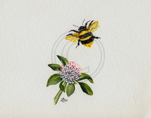 Bumble Bee Watercolor