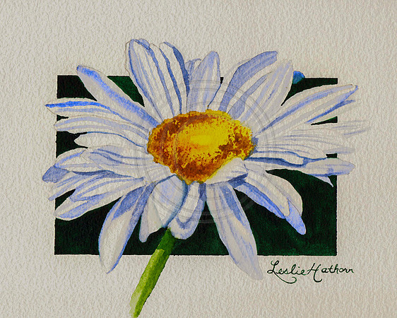 Daisy Watercolor