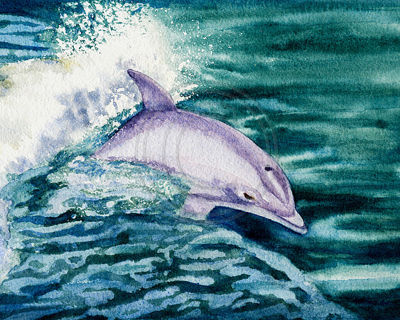 Dolphin Surfs Watercolor