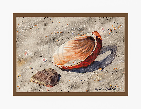 First Shell Notecards