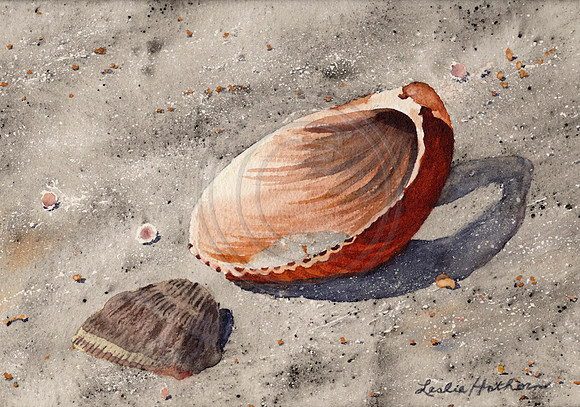 First Shell