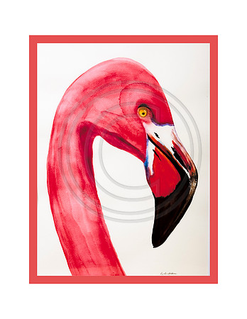 Flamingo Closeup Notecards