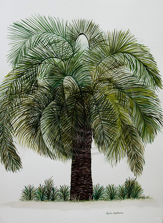Legendary Palm Watercolor