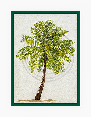 palm 2 Notecards