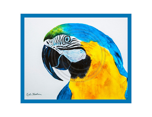 Parrot Head Blue Notecards
