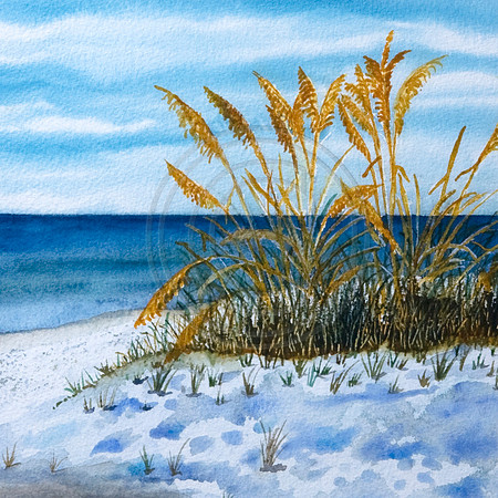 Sea Oats 4x4