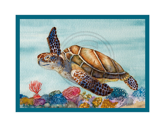 Sea Turtle Save the Gulf Notecards