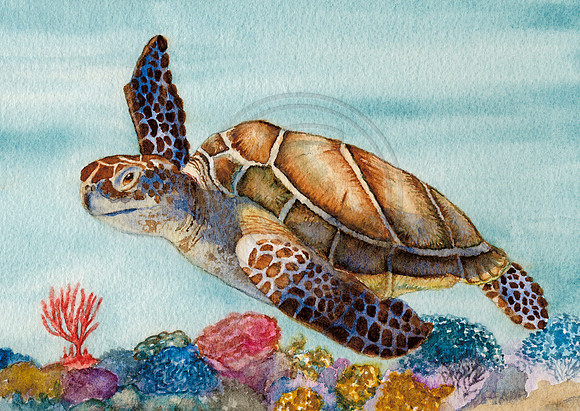 Sea Turtle Save the Gulf Watercolor