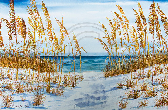 Seaoats Path Watercolor