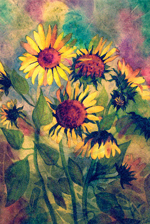 Sunflower Impression Watercolor