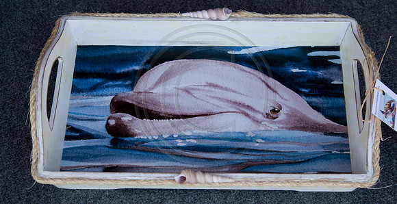 Tray with Dolphin Print