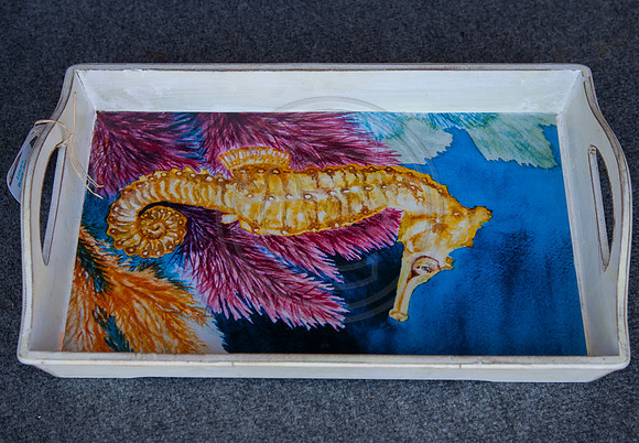 Tray with Seahorse Print