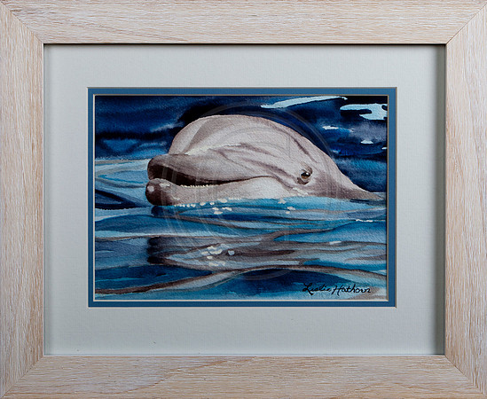 Destin dolphin-smile-headshot