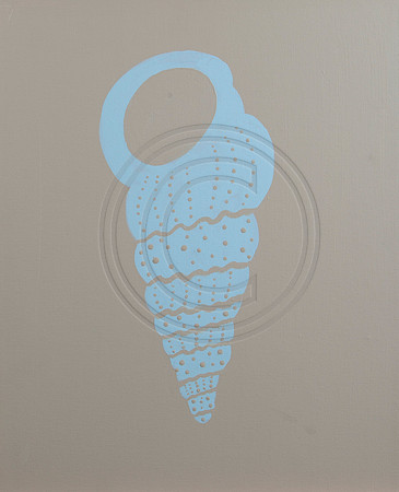 shell on beige