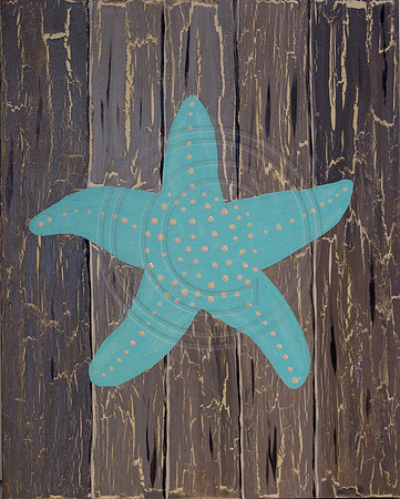 starfish crackle canvas SOLD