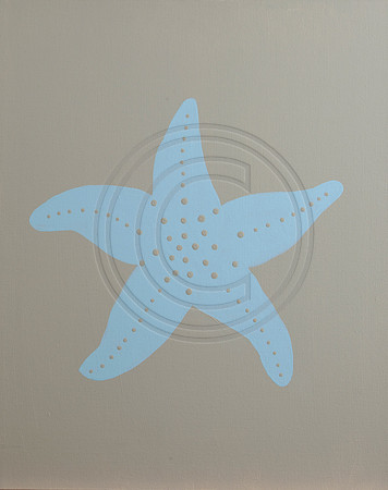starfish on beige
