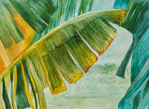 Banana Leaf Watercolor