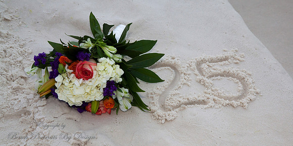 anniversary and vow renewal ceremony pics
