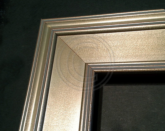 Silver Frame Sample