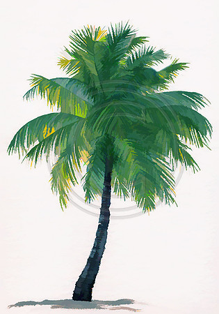 Fancy Palm Logo New