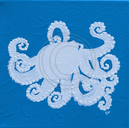 Octpus 6x6 canvas
