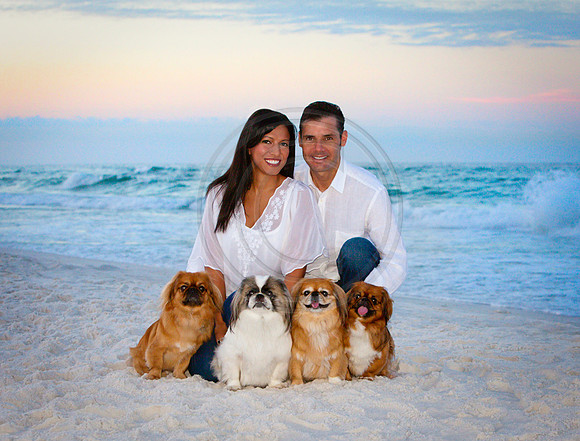 Pet Portraits from Destin's Best Beach Photography.
