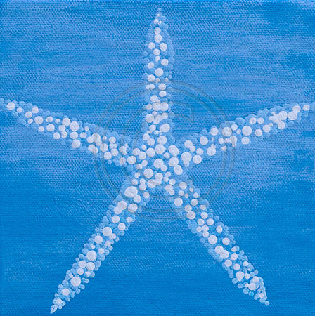 starfish 3x3