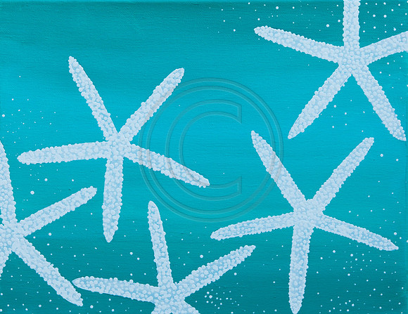 starfish-dance