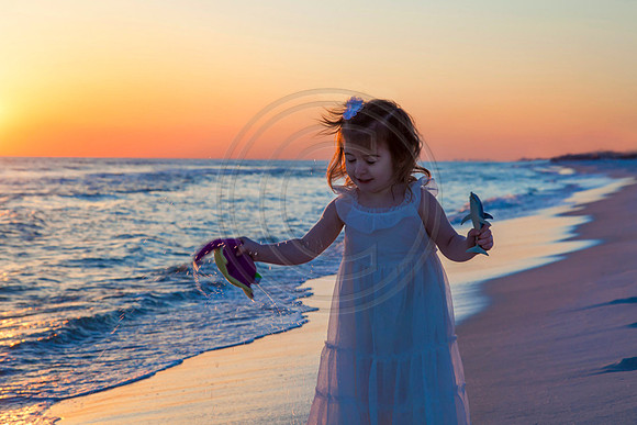 Watercolor fl beach photographers