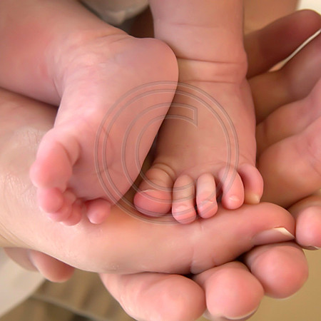 baby and toddler photos and portraits